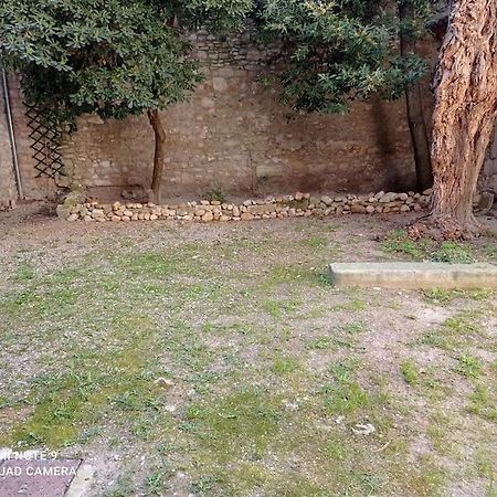 דירות אביניון Loft Vue Palais Des Papes מראה חיצוני תמונה