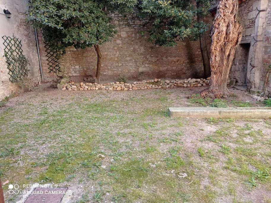 דירות אביניון Loft Vue Palais Des Papes מראה חיצוני תמונה
